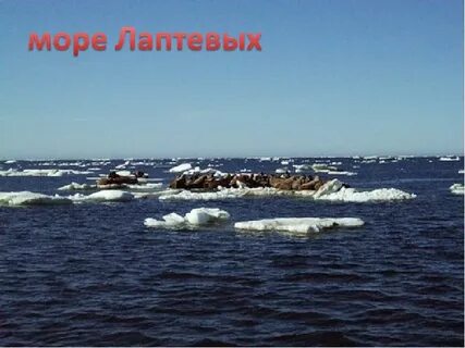 Белое море море лаптевых