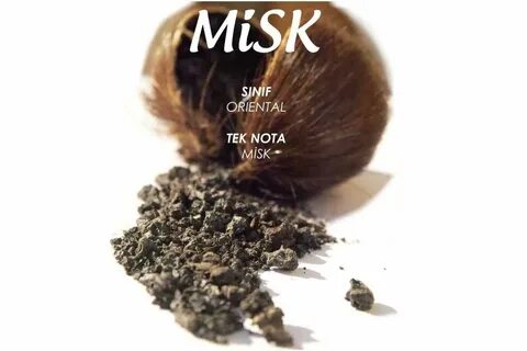 Чем пахнет мускус