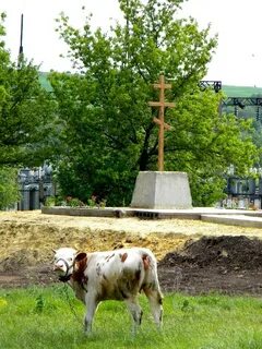 Погода жерновец курская область