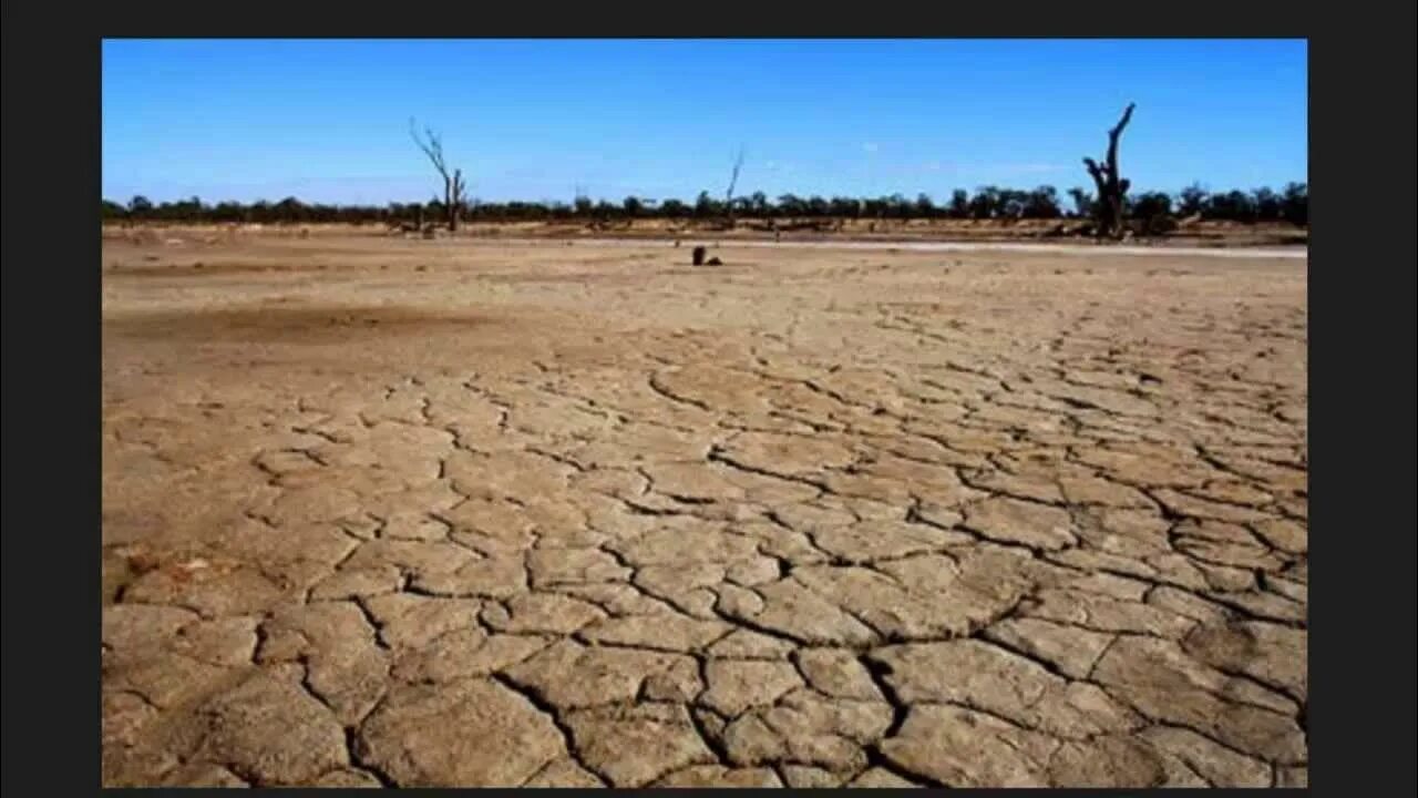 Занимает территории с засушливым климатом. Дон засуха. Засушливые регионы Австралии. Засушливость климата Австралии.