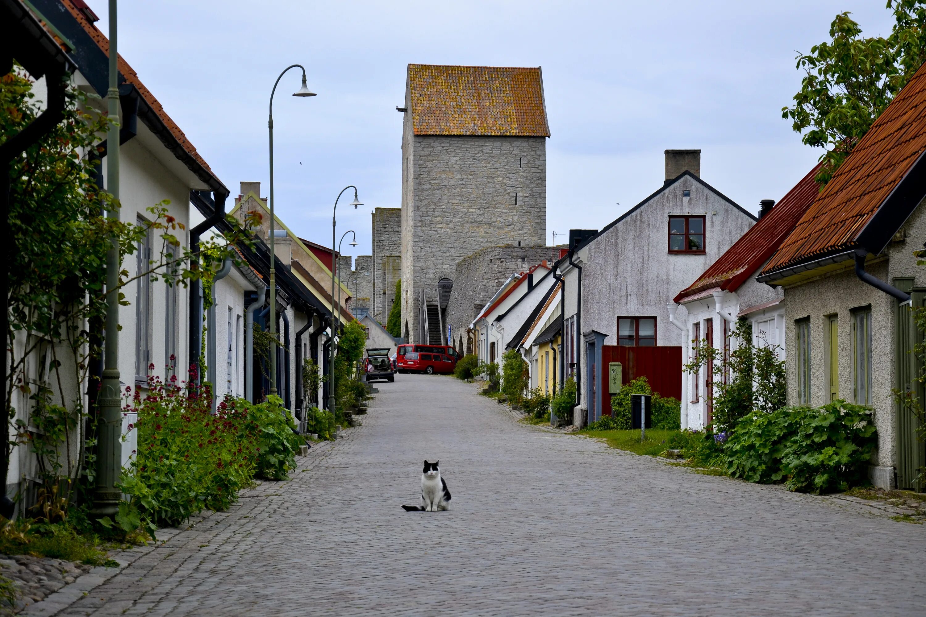 Из деревни в город как называется. Деревня Вестменхег Швеция. Висбю Швеция. Остров Готланд Висбю. Висбю Швеция природа.