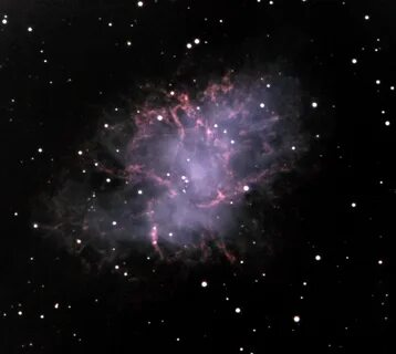 Stella star