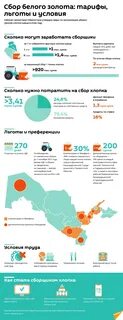 Зарплата в узбекистане