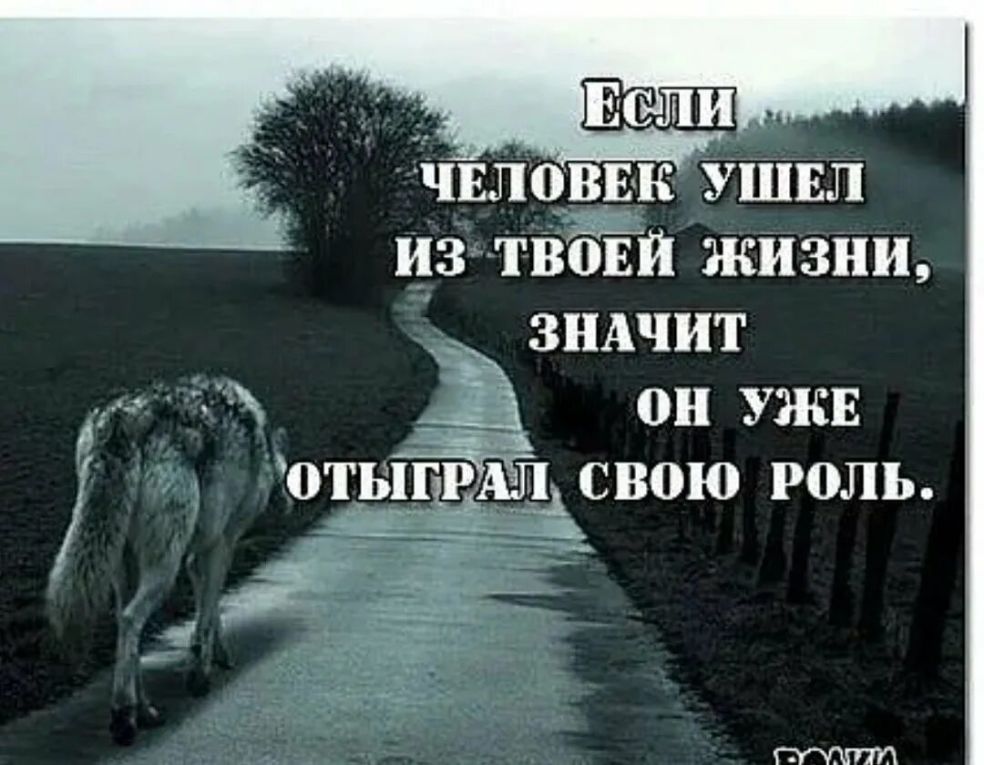 Уходи если хочешь speed. Волк уходит. Путь одинокого волка. Уходящий волк. Люди уходят цитаты.