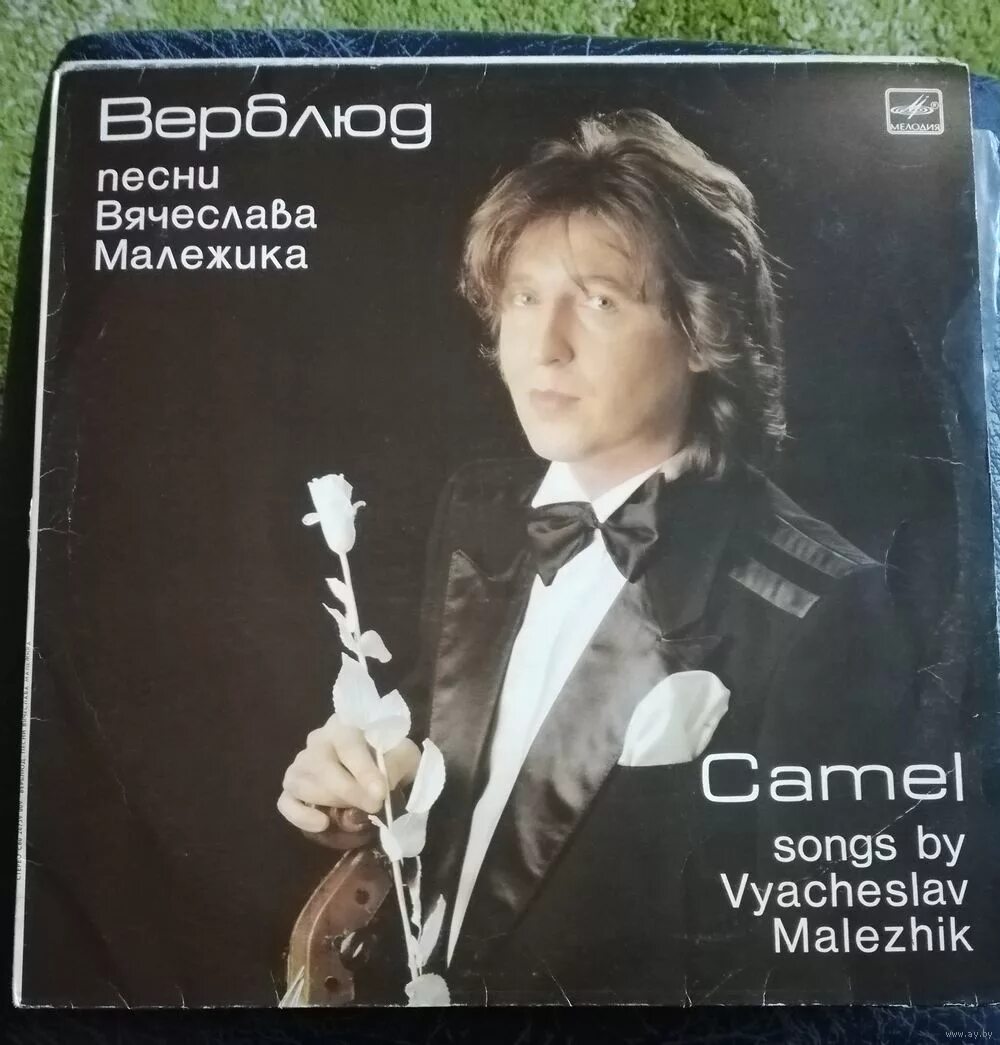 вячеслав малежик верблюд 1987. диск вячеслава малежика верблюд 1988. малежик верблюд. вячеслав малежик виниловая пластинка. вячеслав малежик верблюд пластинка.