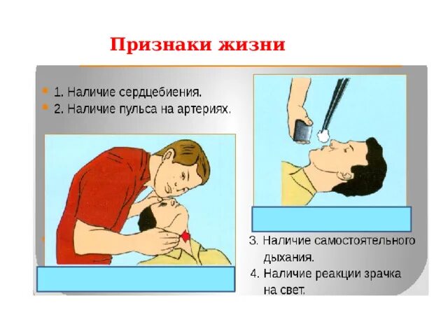 Канал признаки жизни