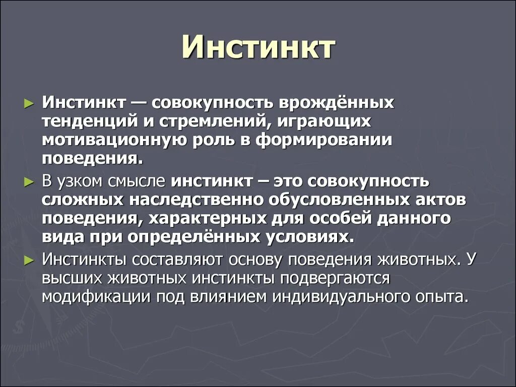 Какой инстинкт является основным. Инстинкт. Инстинктивное поведение животных. Термин инстинкт. Определение понятия инстинкты.