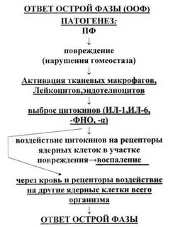 Роль воспаления в патогенезе