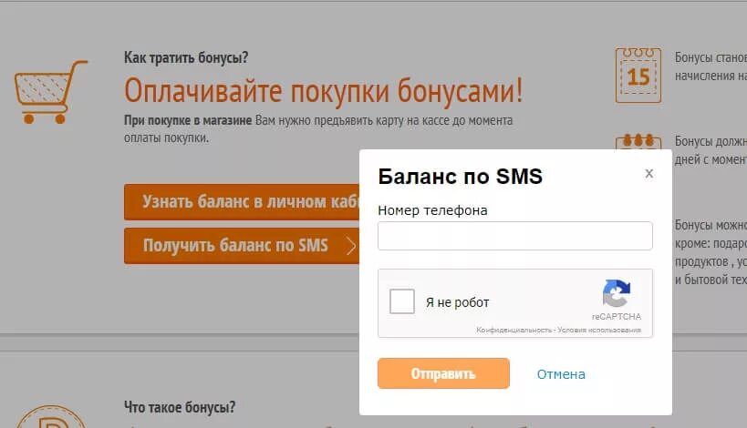 Бонусы прозапас DNS. Карта ДНС. Бонусы от ДНС. Бонусы prozapass