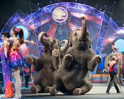 Circus sing