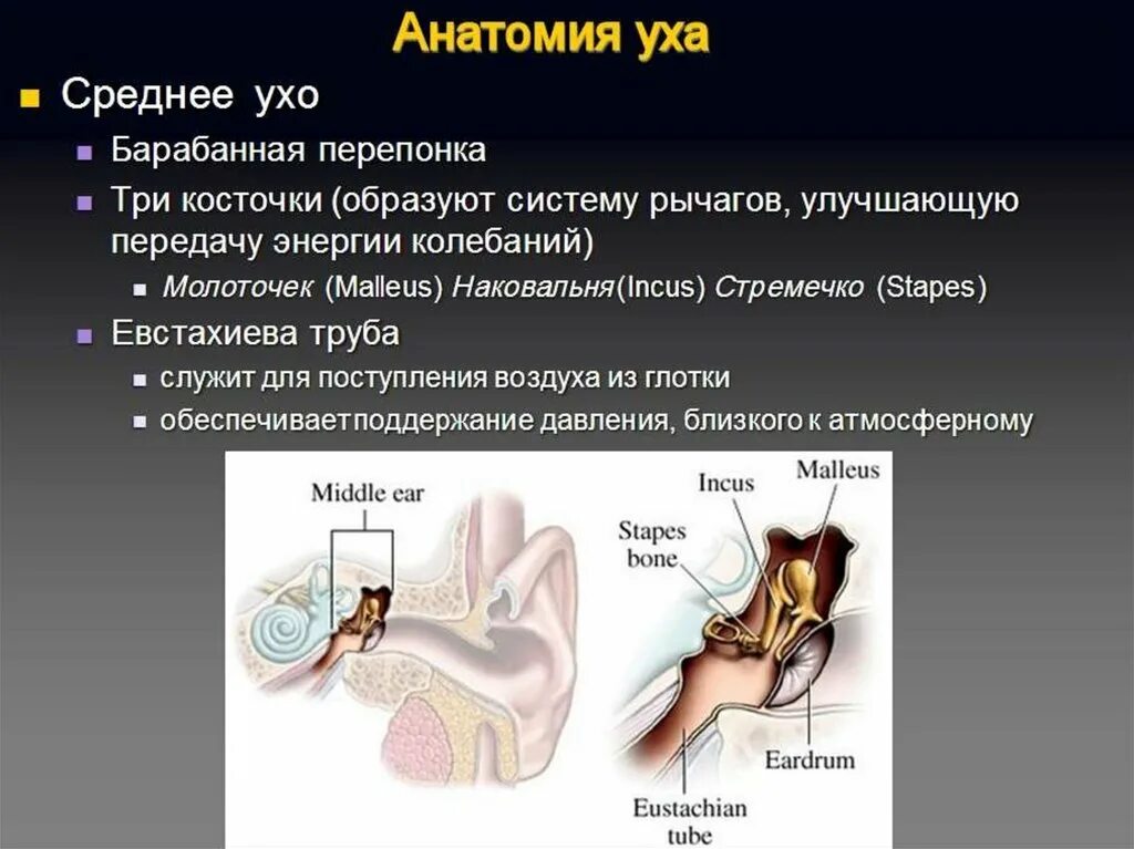 Давление в среднем ухе превышает