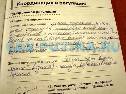 Биология 8 класс сонин рабочая