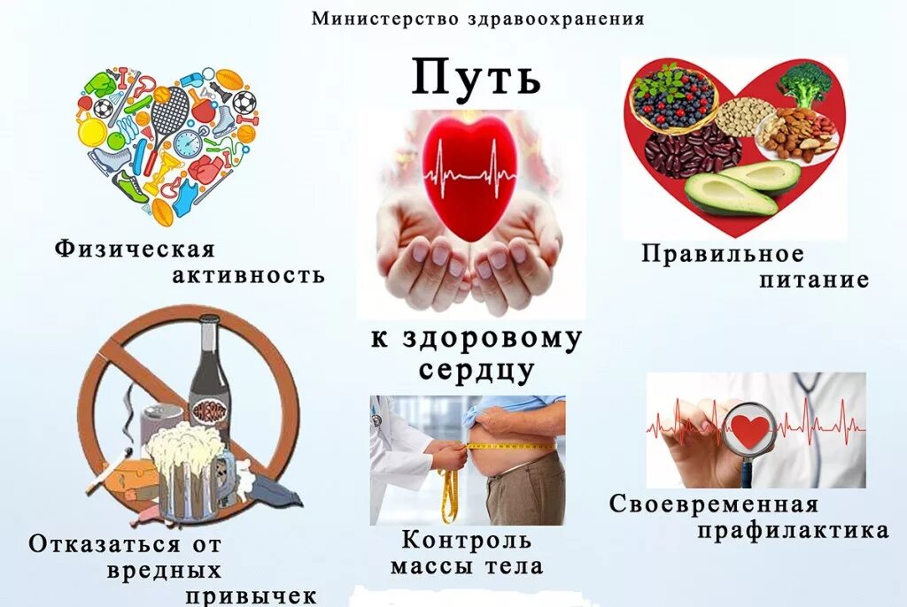 Поддержание здоровья сердца. Сердце зож. правила здорового сердца. рекомендации для здорового сердца. как сохранить сердце здоровым.
