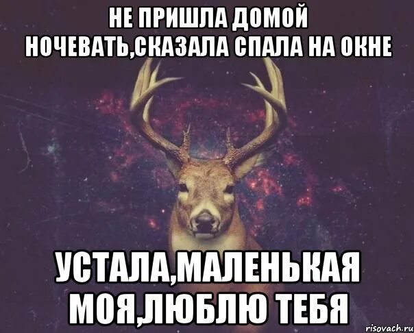 Только не домой. Я пришла домой. пришел домой. муж не пришел ночевать домой. домой не приду ночевать.