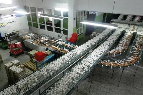 Зао омск