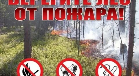 Ограничение пребывания граждан в лесах