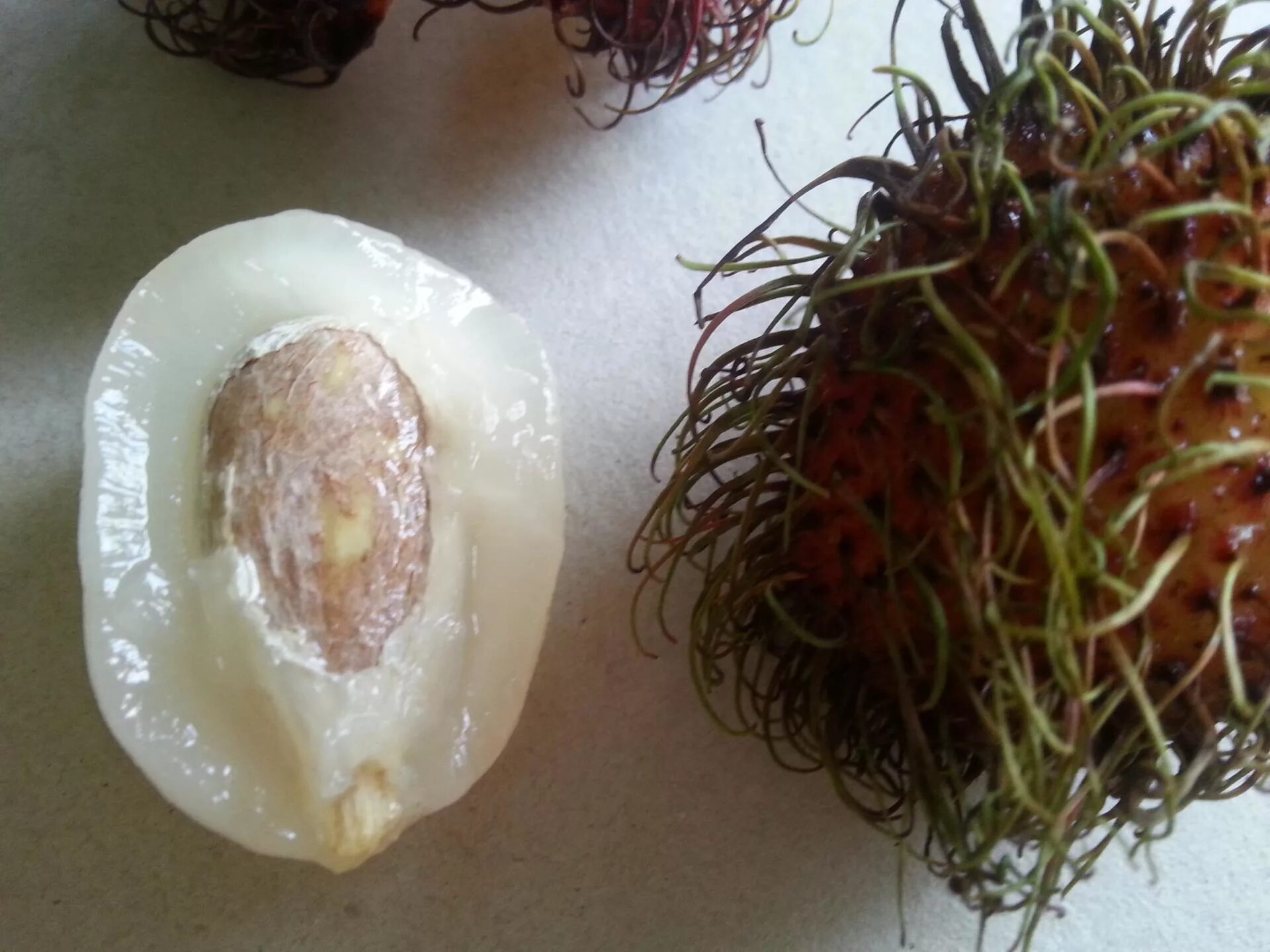 Как вырастить семена личи