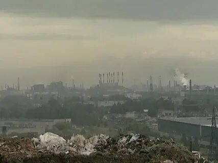 Экология 2016