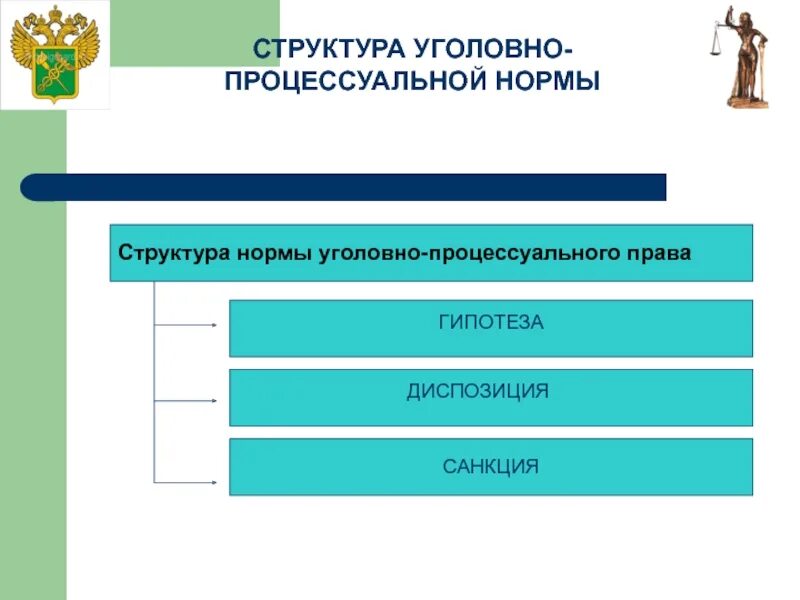 Уголовно процессуальный закон уголовно процессуальные нормы