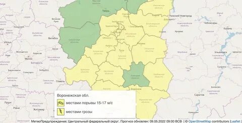 Карта погода воронежская