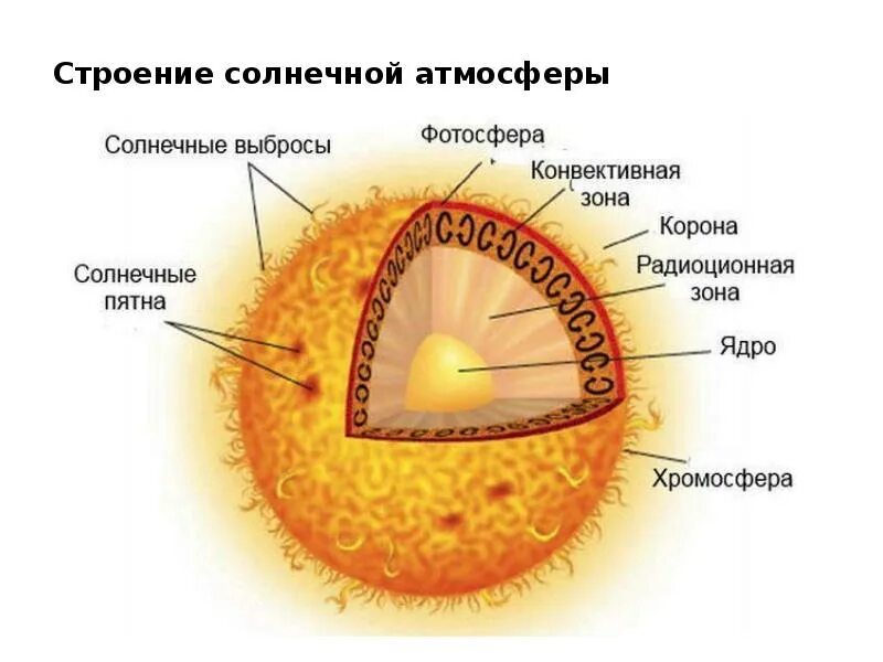 Как называется атмосфера солнца. Строение солнца фотосфера хромосфера корона. внутреннее строение солнца фотосфера. внутреннее строение солнца ядро. строение атмосферы солнца фотосфера.