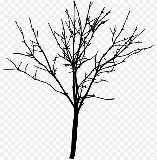 Bare trees