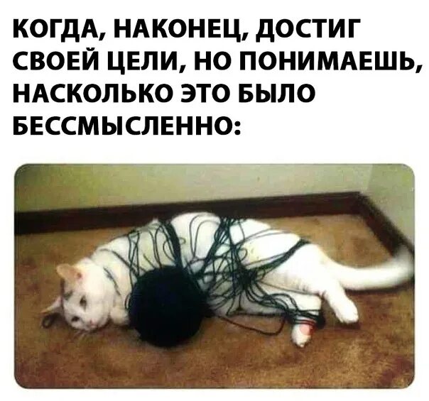 Наконец достигнув цели