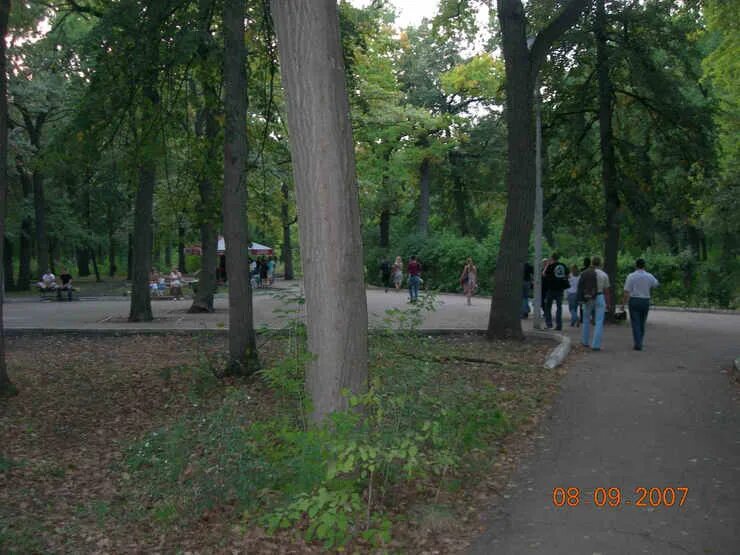 Сайт загородного парка. Загородный парк. Памятник Ленину в загородном парке Самары. Лестница в загородном парке. Отрадный загородный парк.