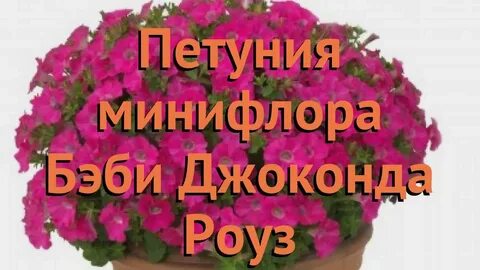 Бэби джоконда