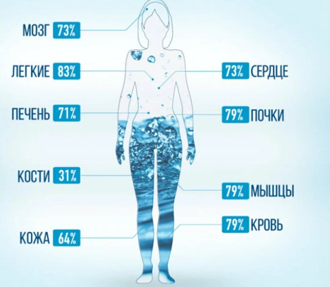 Из какого количества человек состоит команда. Человек состоит из воды. Вода в организме человека. Вода в человеческом организме. Человеческое тело состоит из воды.