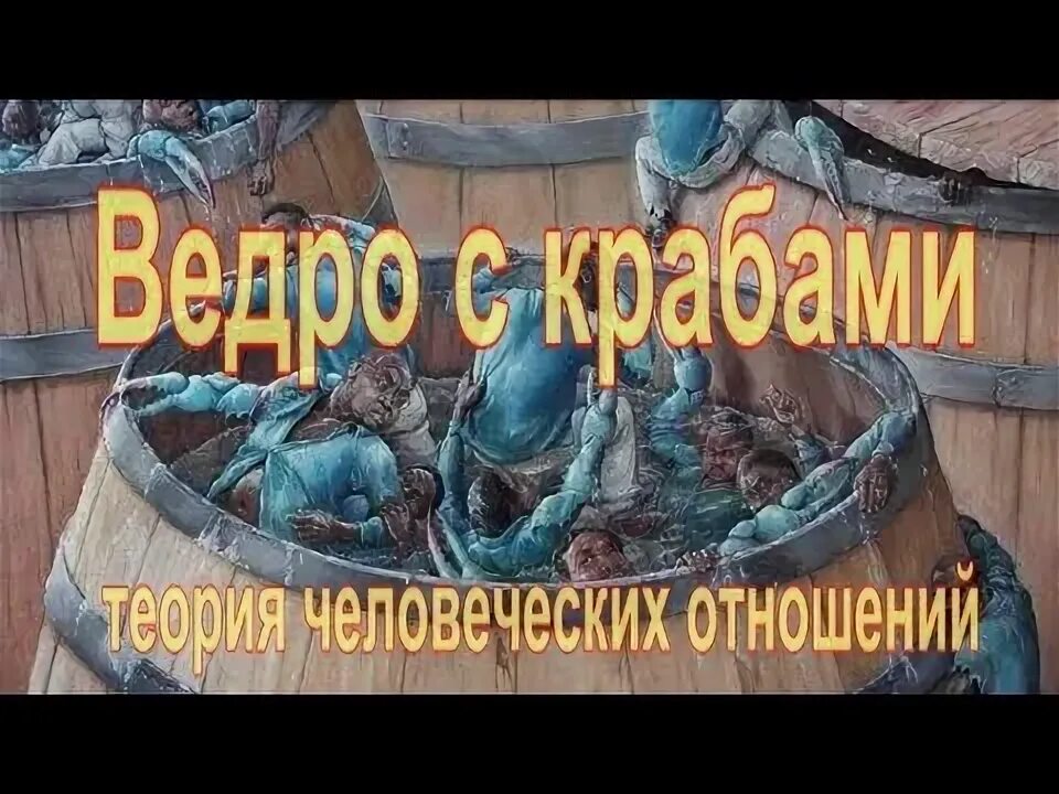 Теория ведра с крабами. Ведро с крабами. Эффект ведра с крабами. Выражение ведро с крабами.