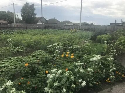 Погода в солнечном усть абаканский