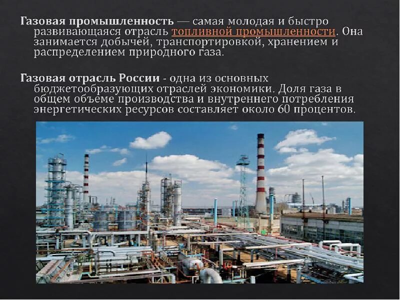 В нашей стране быстро развивается