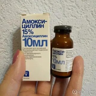 Амоксициллин 10 мл