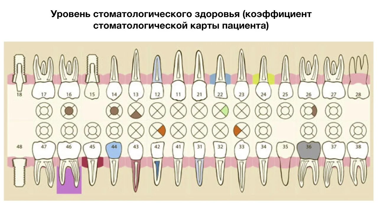 Сколько стоят зубы человека. Зубная формула верхней челюсти. Зубная формула в стоматологии кариес. Зубная формула нижней челюсти. Схема зубов в стоматологии.