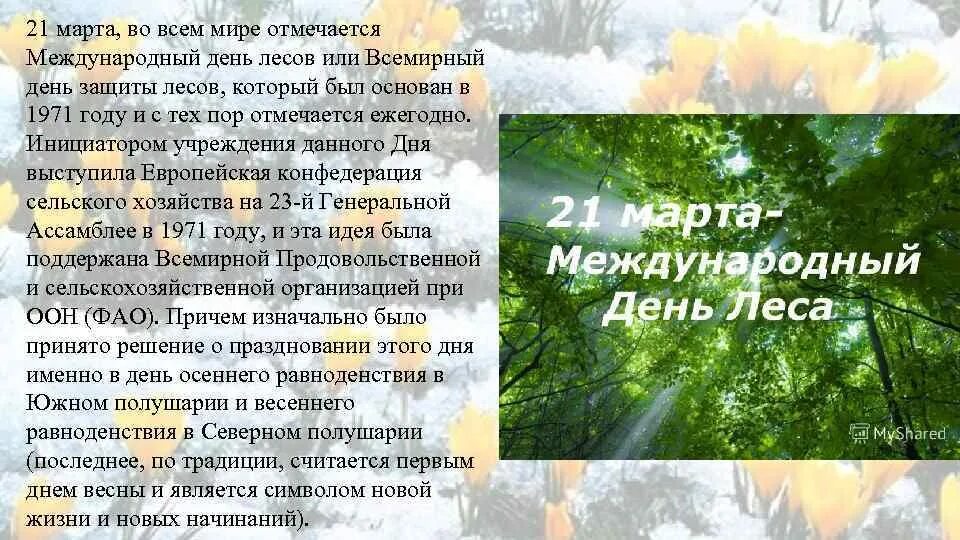 21 международный день леса. Международный день лесов. Международныйдкнь лесов. Всемирный день защиты леса.