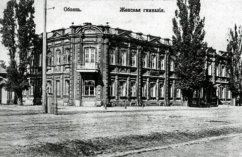 Курская область гимназия