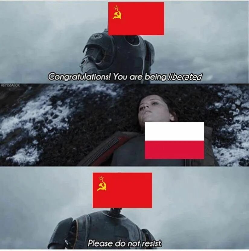 Please do ответ. Please do not resist. congratulations you are being rescued please do not resist. польский мем. мемы про польшу.