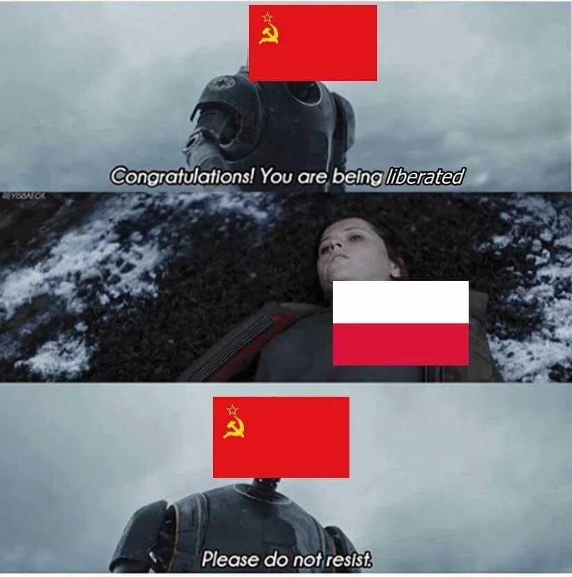 Please do not resist. Congratulations you are being Rescued please do not resist. Польский Мем. Мемы про Польшу. Please do not disclose
