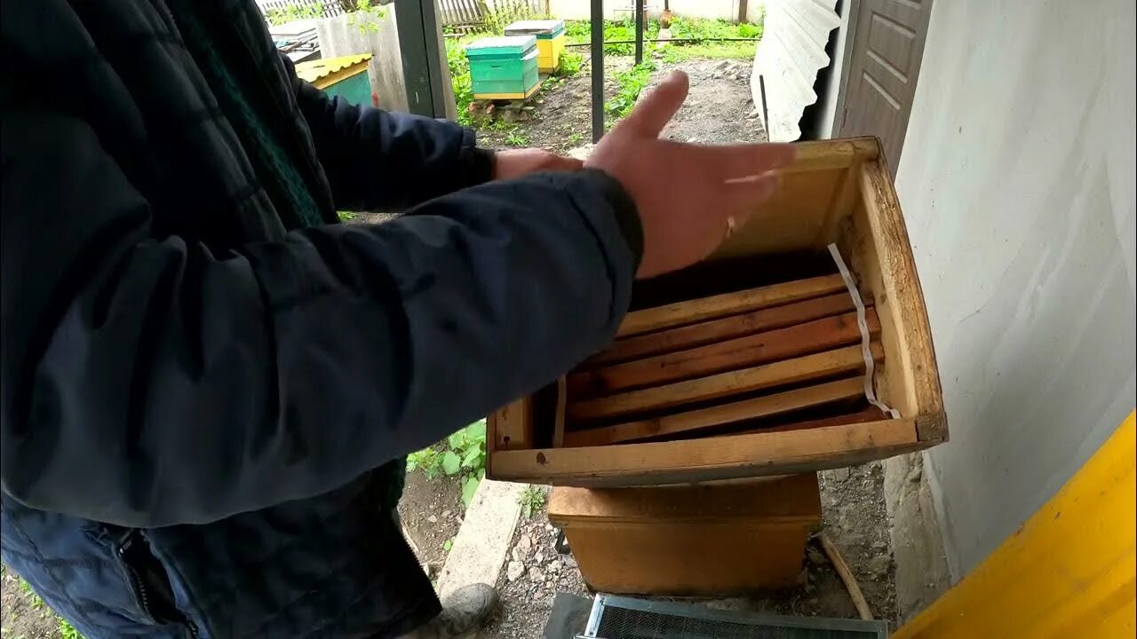 Ловушки для бродячих роев пчел. Ловля роев пчел ловушками 2023. Ловля роев пчел ловушками 2023. Ловля роев пчел ловушками 2023. Ловушка для опилок.