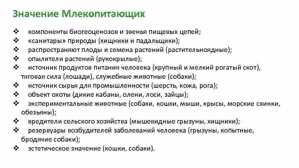 Значение млекопитающих. Роль млекопитающих в природе. Значение млекопитающих в жизни человека. Роль млекопитающих в природе и жизни человека. Какова роль млекопитающих в природе