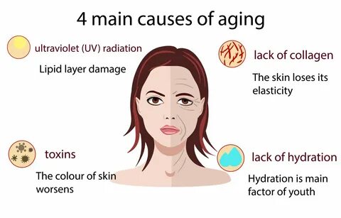 Ageing перевод