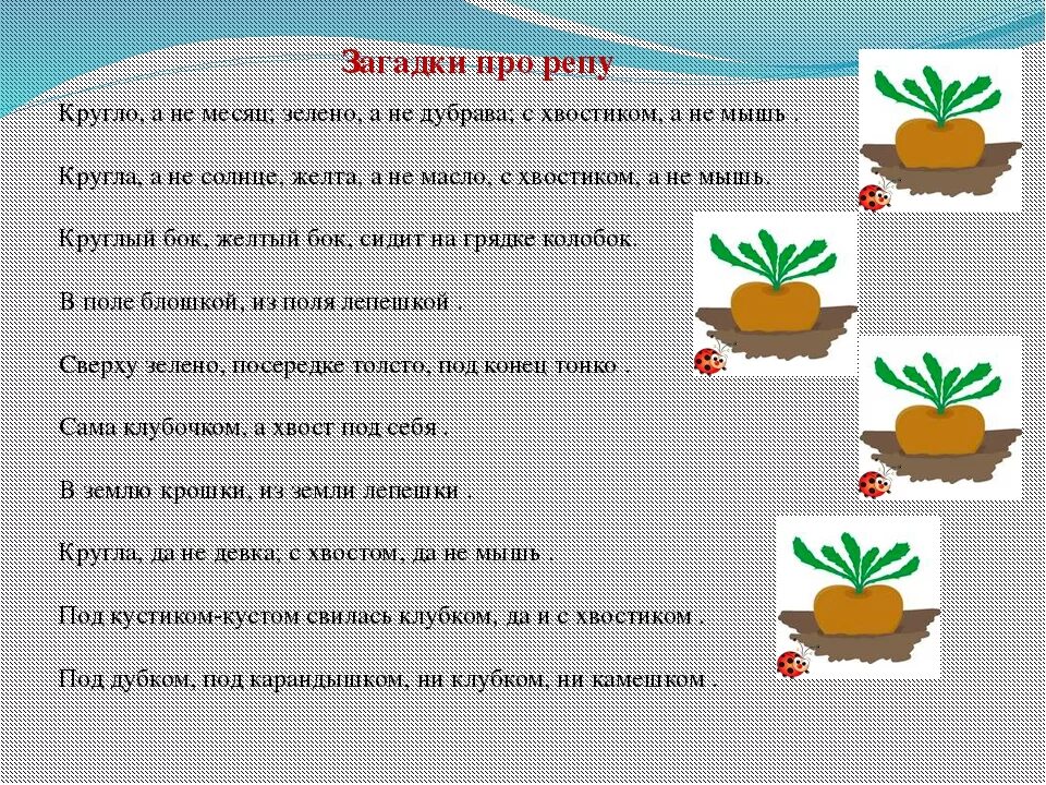 Про репку и другие корнеплоды 1 класс. Загадка про репку. Загадка про репку для малышей. Загадки о репе. Загадка по сказке Репка для детей.