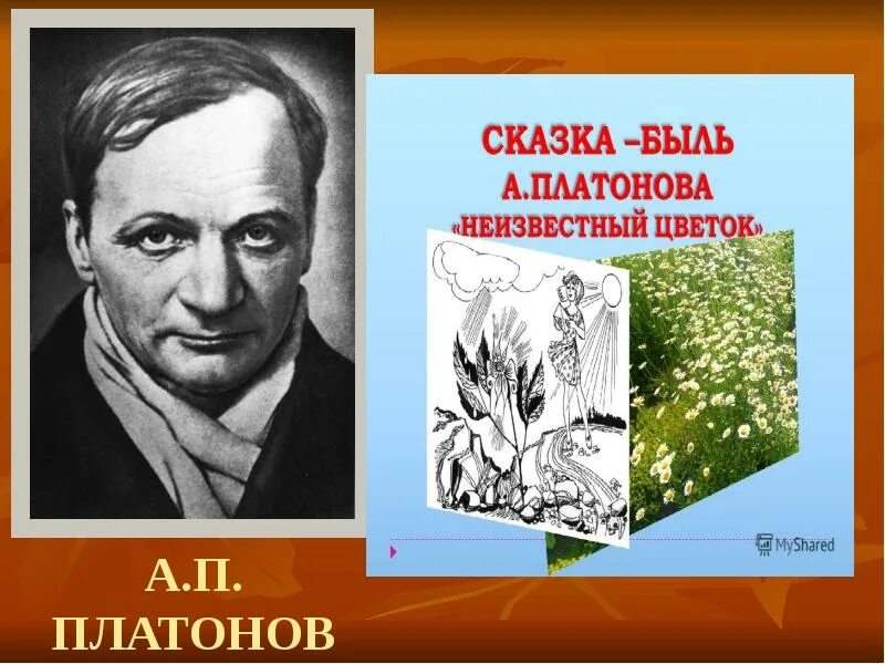 А п платонов сказка быль неизвестный цветок. Сказка быль Платонова неизвестный цветок. А.П. Платонова "неизвестный цветок". Платонов сказка быль неизвестный цветок.