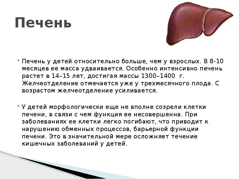 Печень у детей 3 лет. Возрастные особенности печени. На сколько растет печень у ребенка. Масса печени во всех возрастных группах.