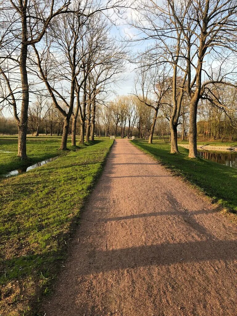 Луговой парк. Луговой парк в Петергофе Питер. Луговой парк в Петергофе фото.