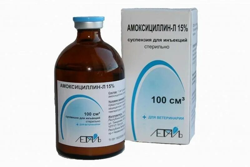 Амоксициллин 1 2 раза. Амоксициллин 15% 100мл инвеса. амоксициллин 15 суспензия для инъекций для кошек. амоксициллин 15% 100 мл invesa. амоксициллин 15% la для инъекций, 100 мл..