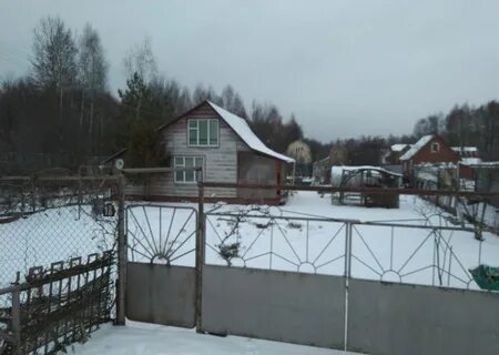 Снт василек