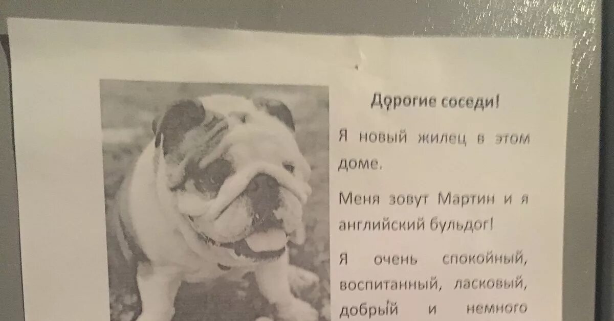 Соседская собака всю ночь протяжно. Объявление о воющей собаке. Объявление о собаках в подъезде. Объявление соседям о собаке. Объявление для соседей у которых лает собака.