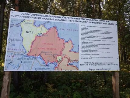 1 1 государственный природный заказник